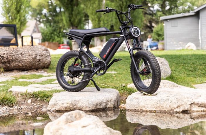 Dual Motor Electric Bike